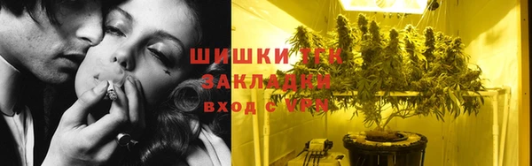 ПСИЛОЦИБИНОВЫЕ ГРИБЫ Нея