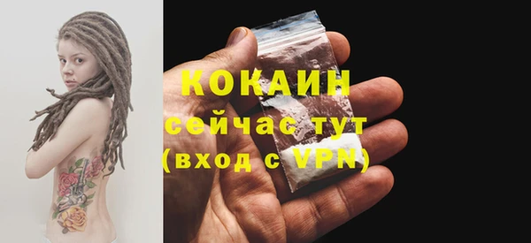 сатива Нефтекумск