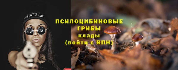 ПСИЛОЦИБИНОВЫЕ ГРИБЫ Нея