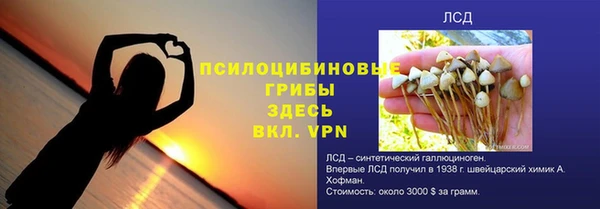 сатива Нефтекумск