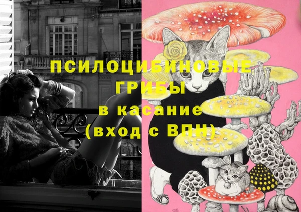 сатива Нефтекумск