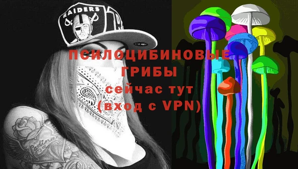 сатива Нефтекумск