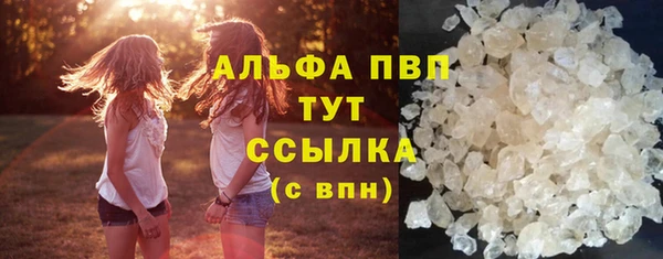 сатива Нефтекумск
