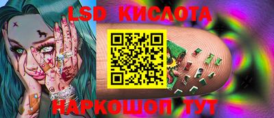 шишки Берёзовский