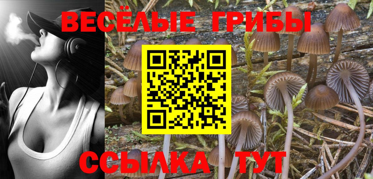 Шахты  Галлюциногенные грибы ЛСД  Галлюциногенные грибы Cubensis  Вход с VPN 