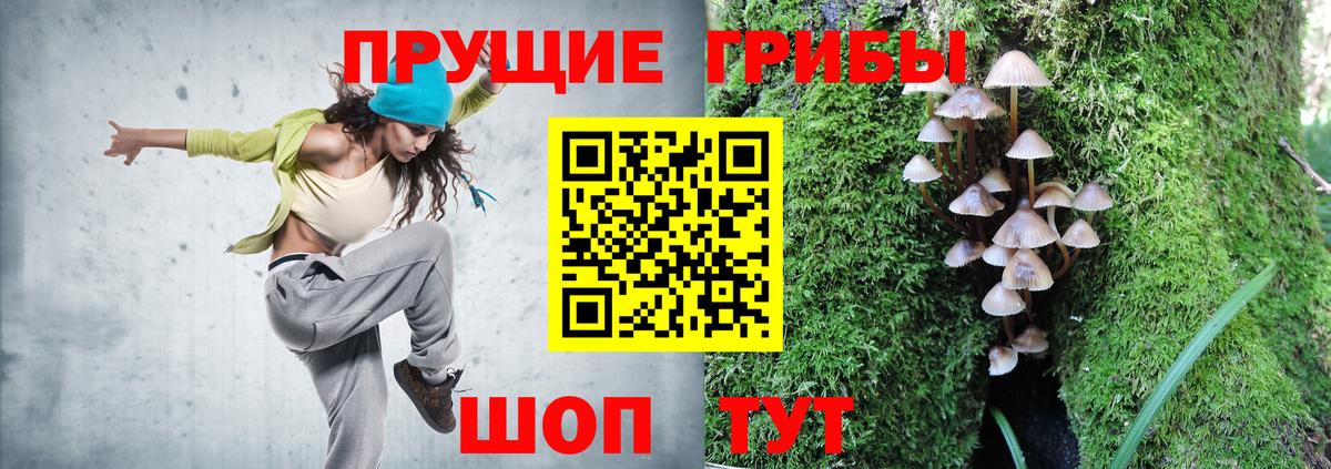 купить наркотик  Шахты  Псилоцибиновые грибы Psilocybine cubensis 