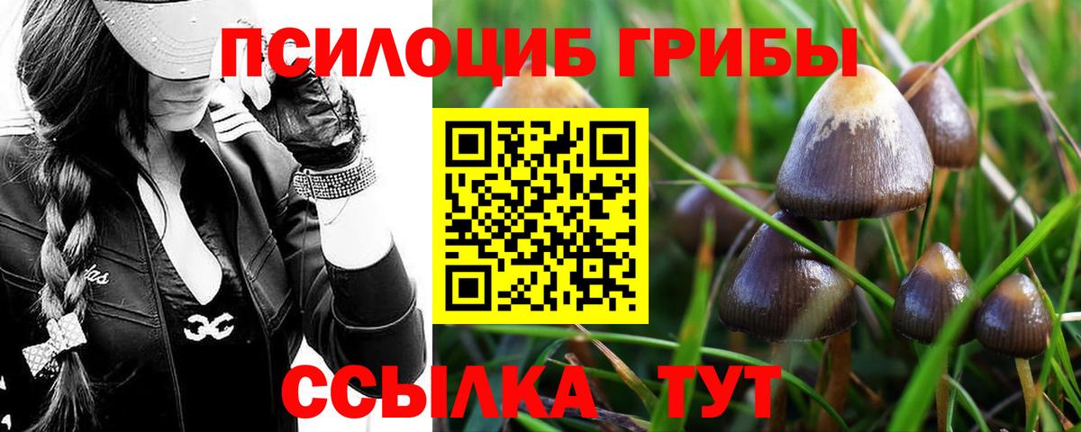 Галлюциногенные грибы Magic Shrooms Шахты